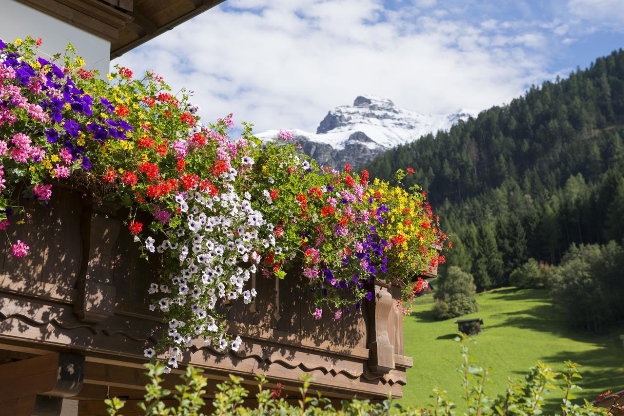 Haus Fernblick Hotel Neustift im Stubaital Ngoại thất bức ảnh